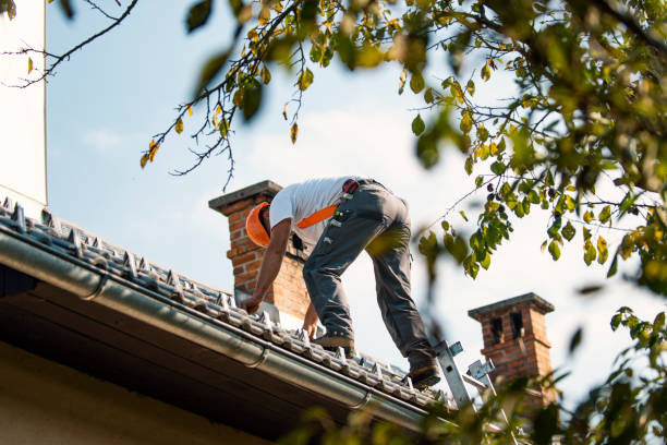 Sealant for Roof in Vassar College, NY